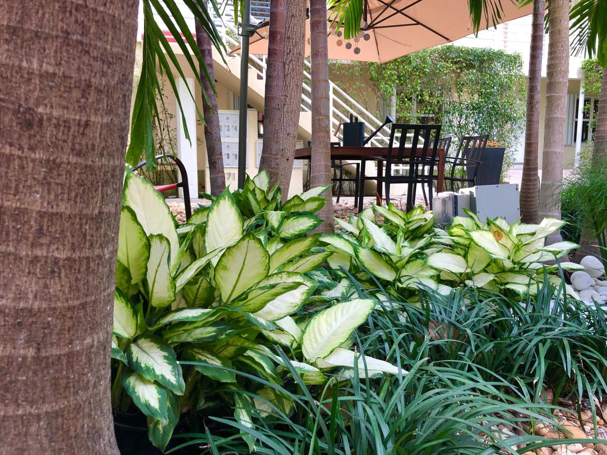 The Oasis Apartamento Miami
